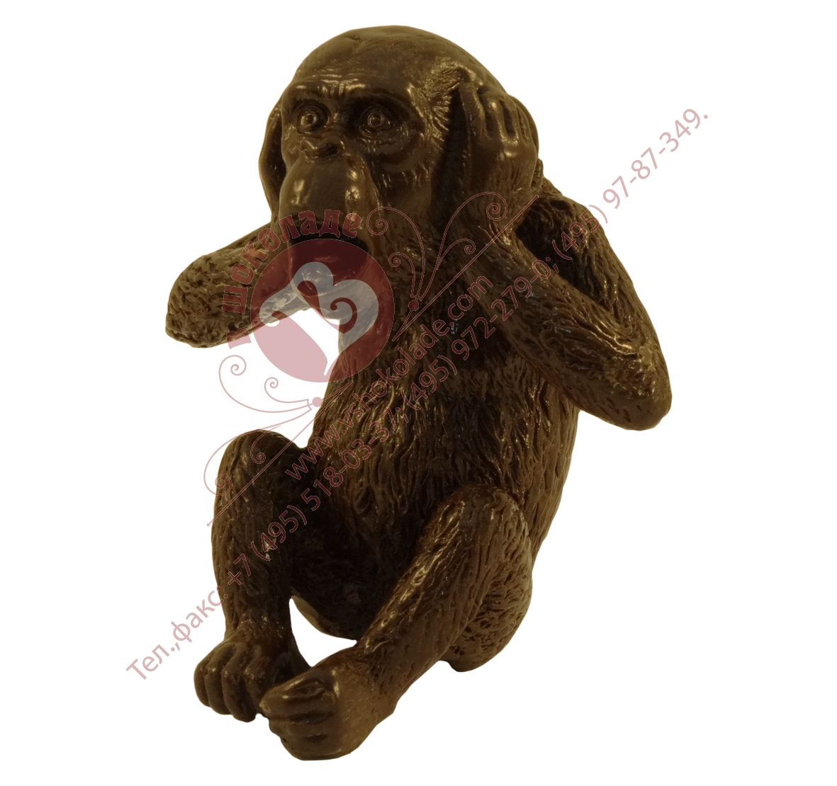 Шоколадная обезьянка - символ 2016 года. Артикул 2016 ob_008. Вес 110 гр.